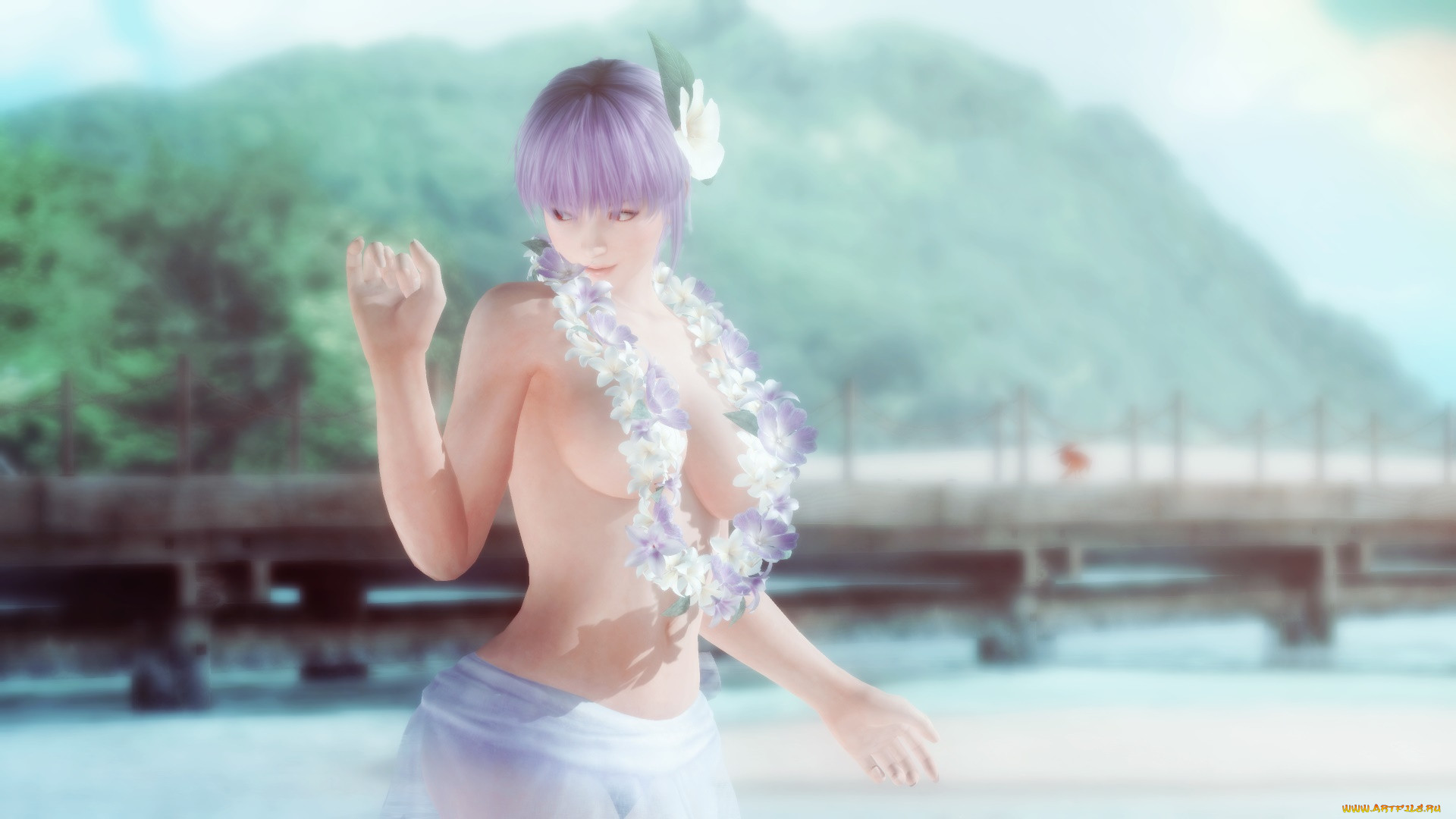  , dead or alive 5, , , , 